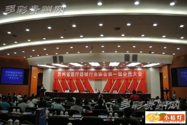 貴州省醫療器械行業協會正式成立，擘畫產業發展新藍圖